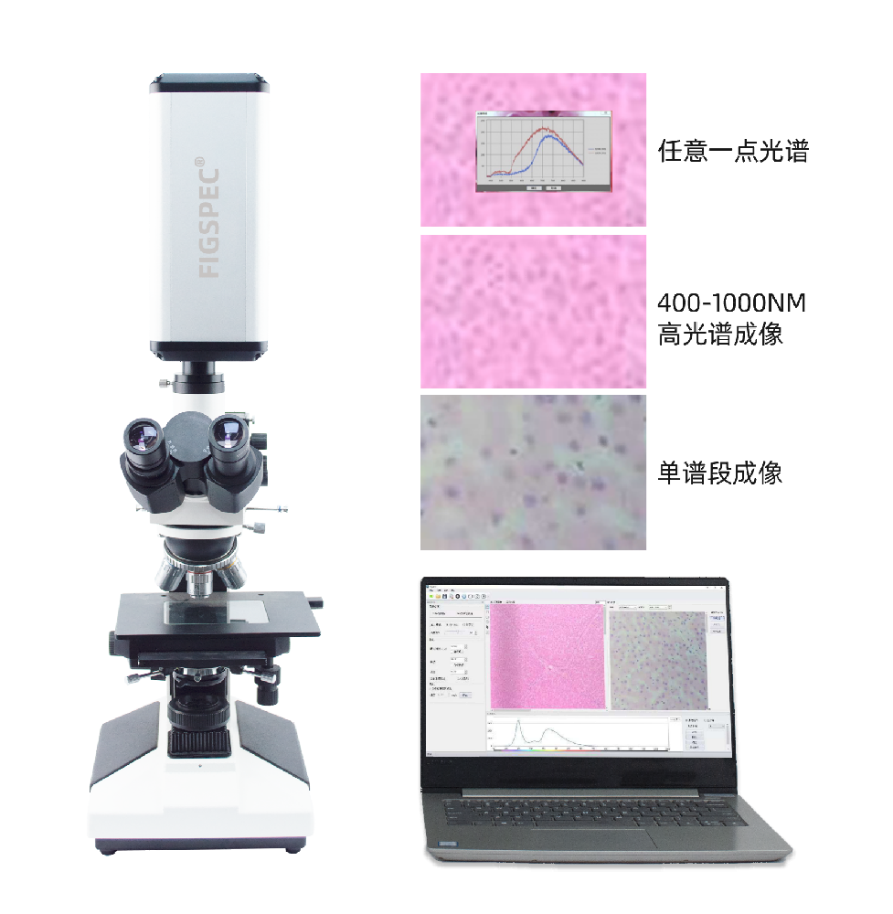 彩譜顯微高光譜成像系統(tǒng).png